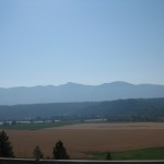 Montana Haze