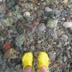 The rocks are all colors...but yellow  :)