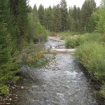 Quartz Creek in Glacier Nat'l Park
