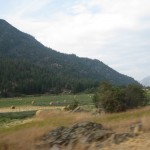 IMG_1150